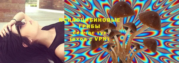 a pvp Балабаново