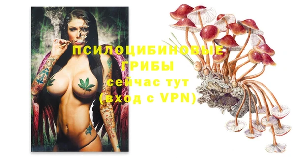 трава Баксан