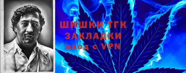 тгк Протвино