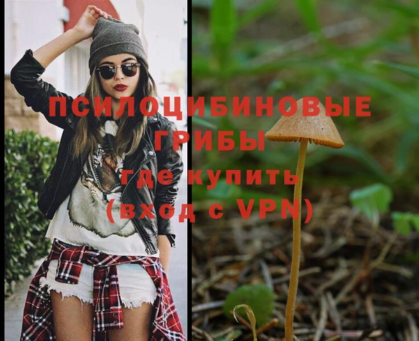 a pvp Балабаново
